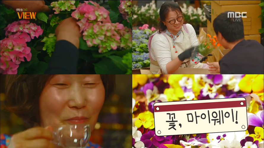 [전북] 꽃, 마이 웨이   外
