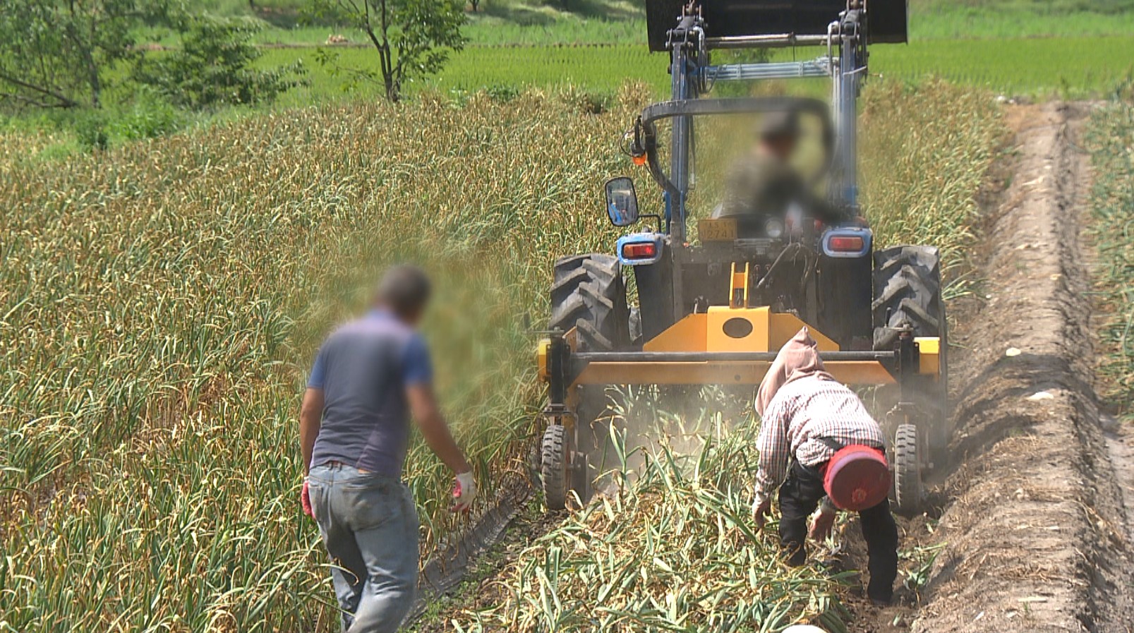 '농어업작업 안전재해 예방 및 지원 조례' 추진