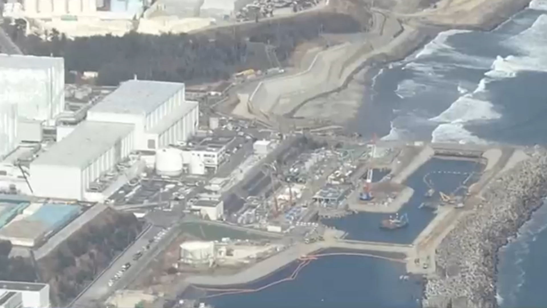 후쿠시마 앞바다서 방사성 세슘 '우럭'.. 