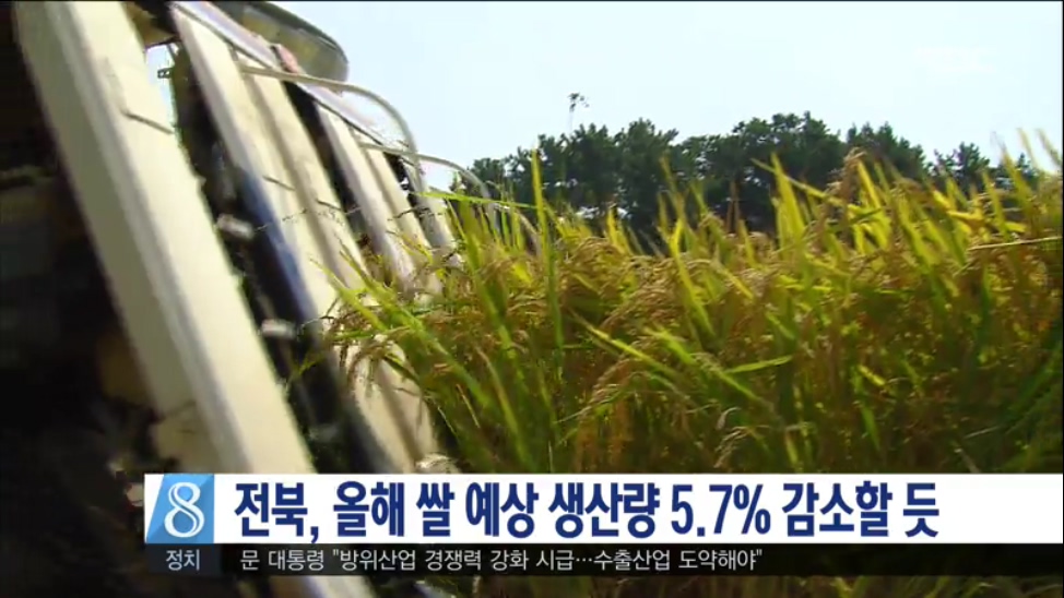전북, 올해 쌀 예상 생산량 5.7% 감소할 듯