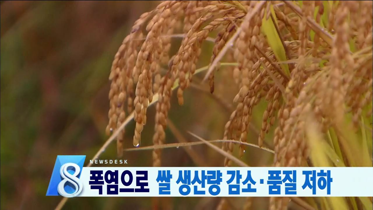 폭염 쌀 수확량 영향