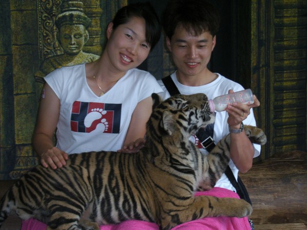 SA500259.JPG