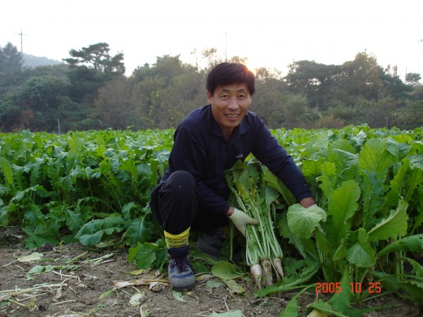 무우밭.JPG