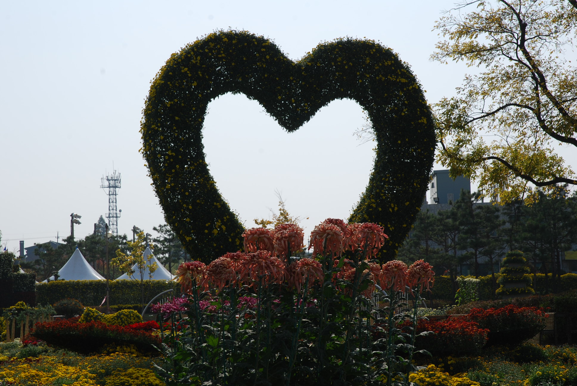 dsc_0055_copy.jpg