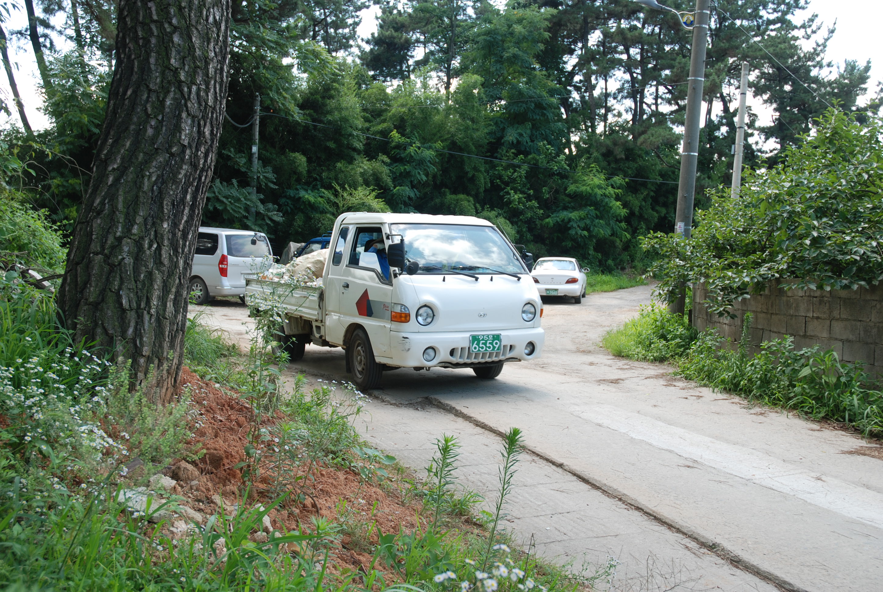 dsc_0066.jpg