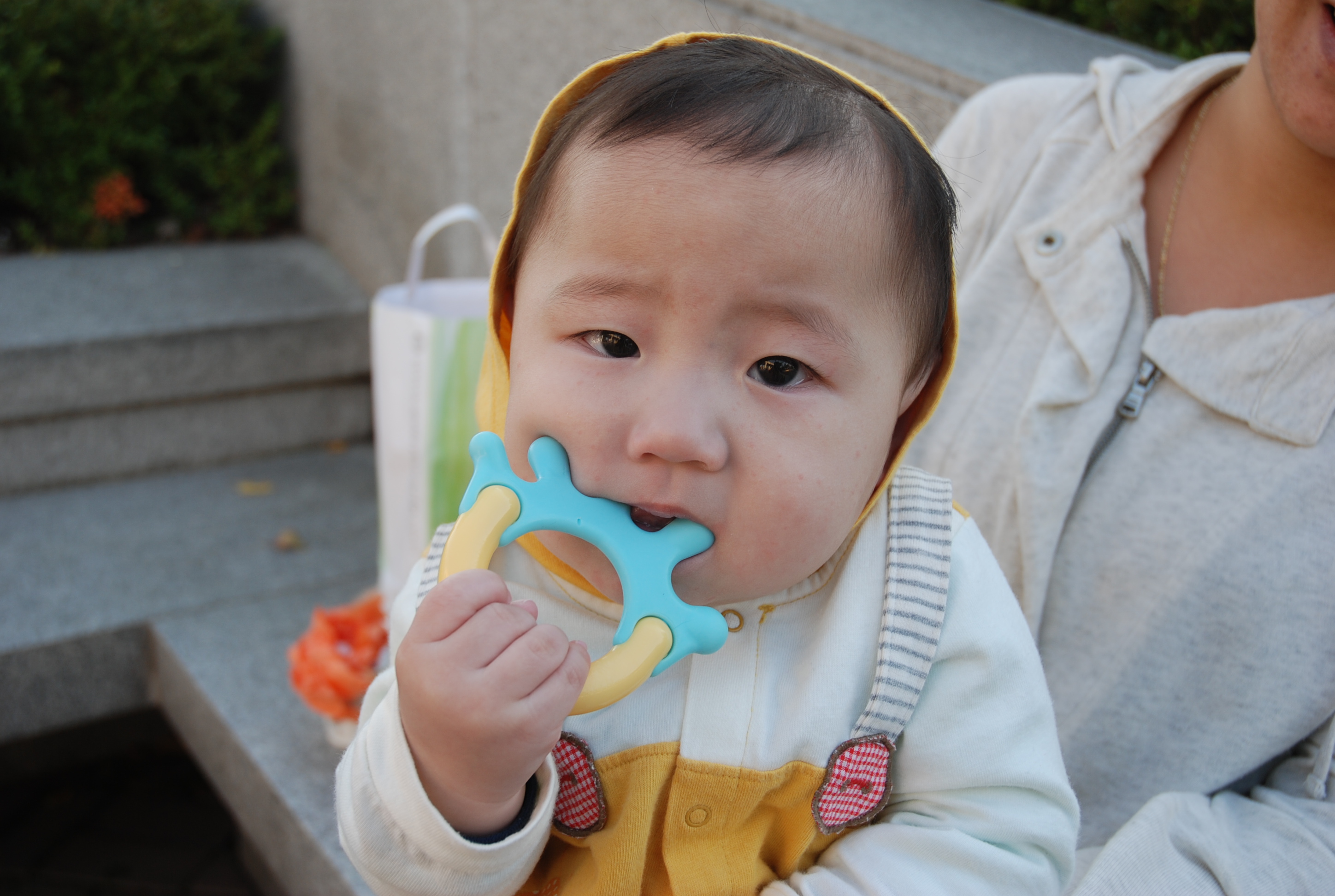 dsc_0119.jpg