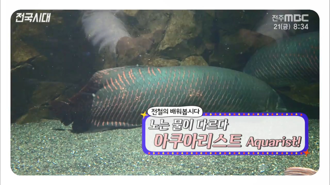 노는 물이 다르다 아쿠아리스트 Aquarist!