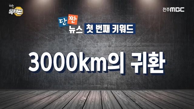 [이슈옥타곤-단짠뉴스] 1. 3천km의 귀환 2. 부전여전