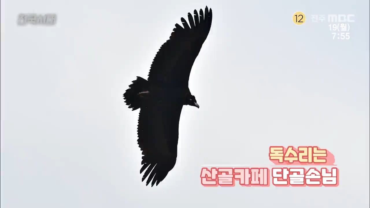 [전국시대] 전주MBC 2021년 04월 19일