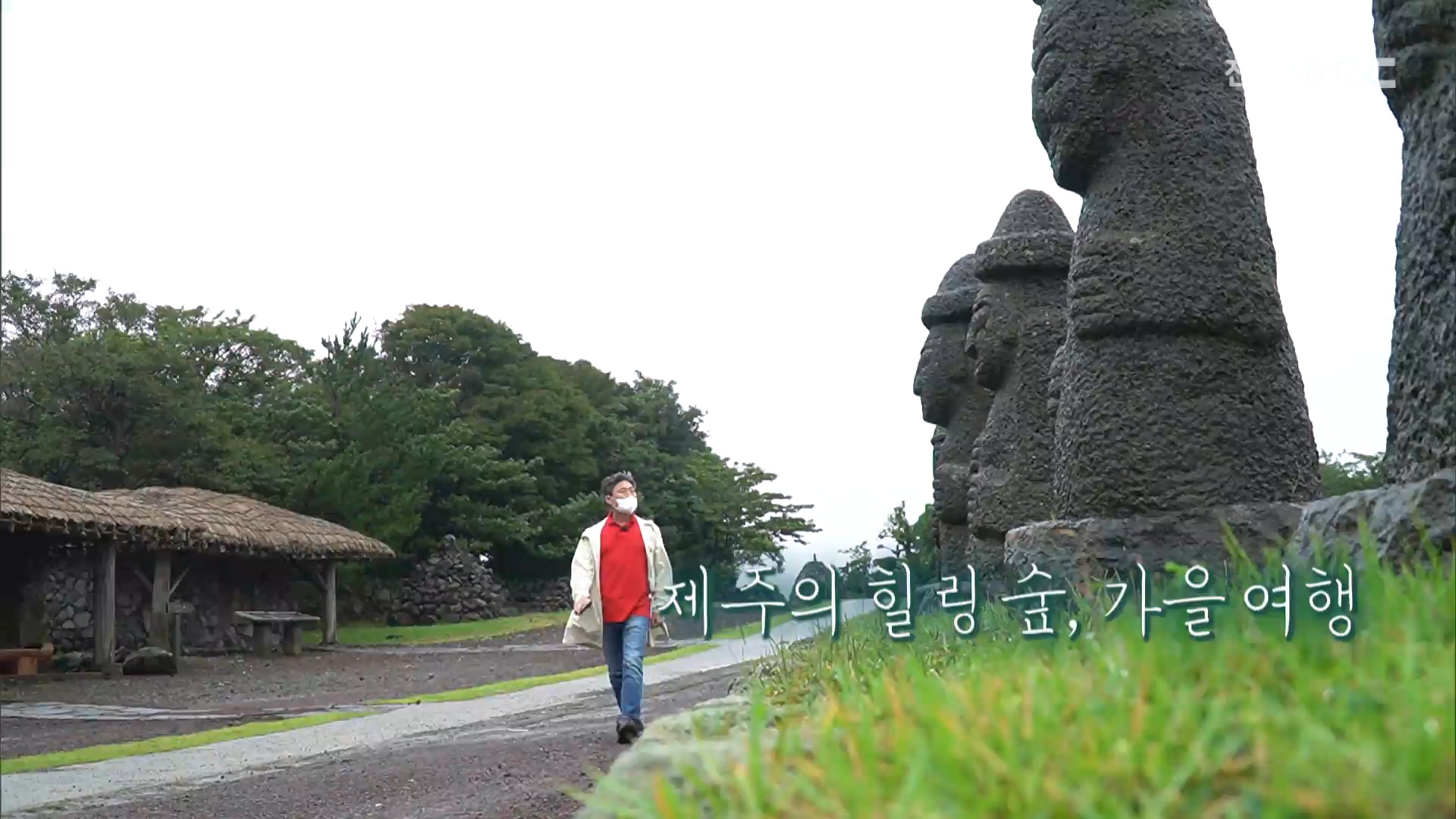 제주의 힐링 숲, 가을여행