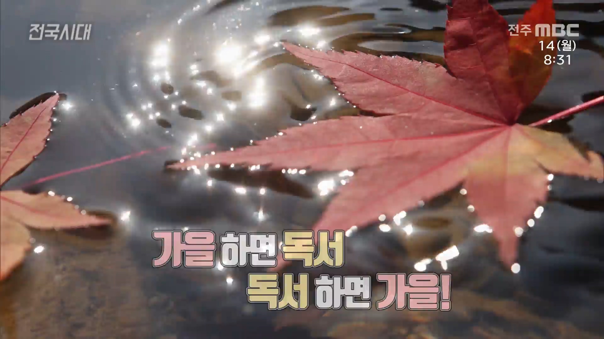 [전국시대] 전주MBC 2022년 11월  14일