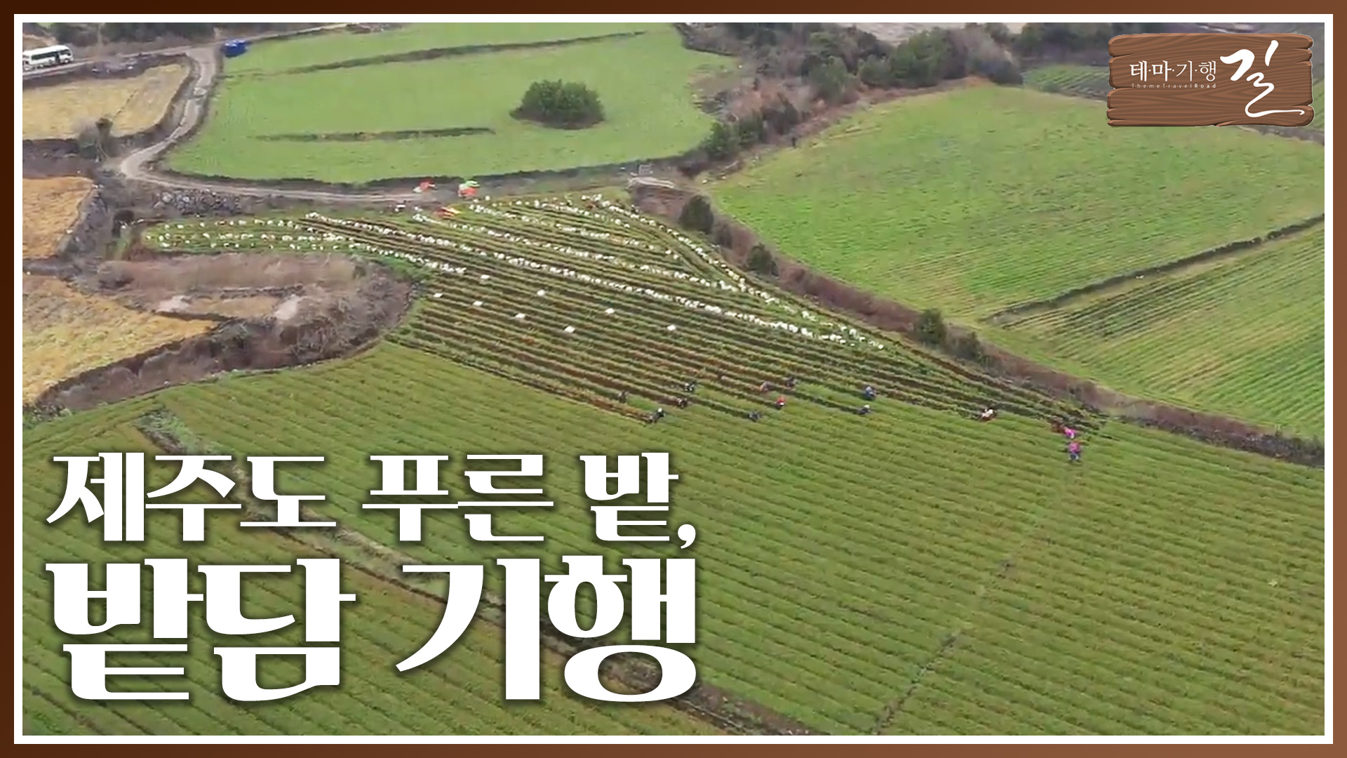 제주도 푸른 밭, 밭담 기행