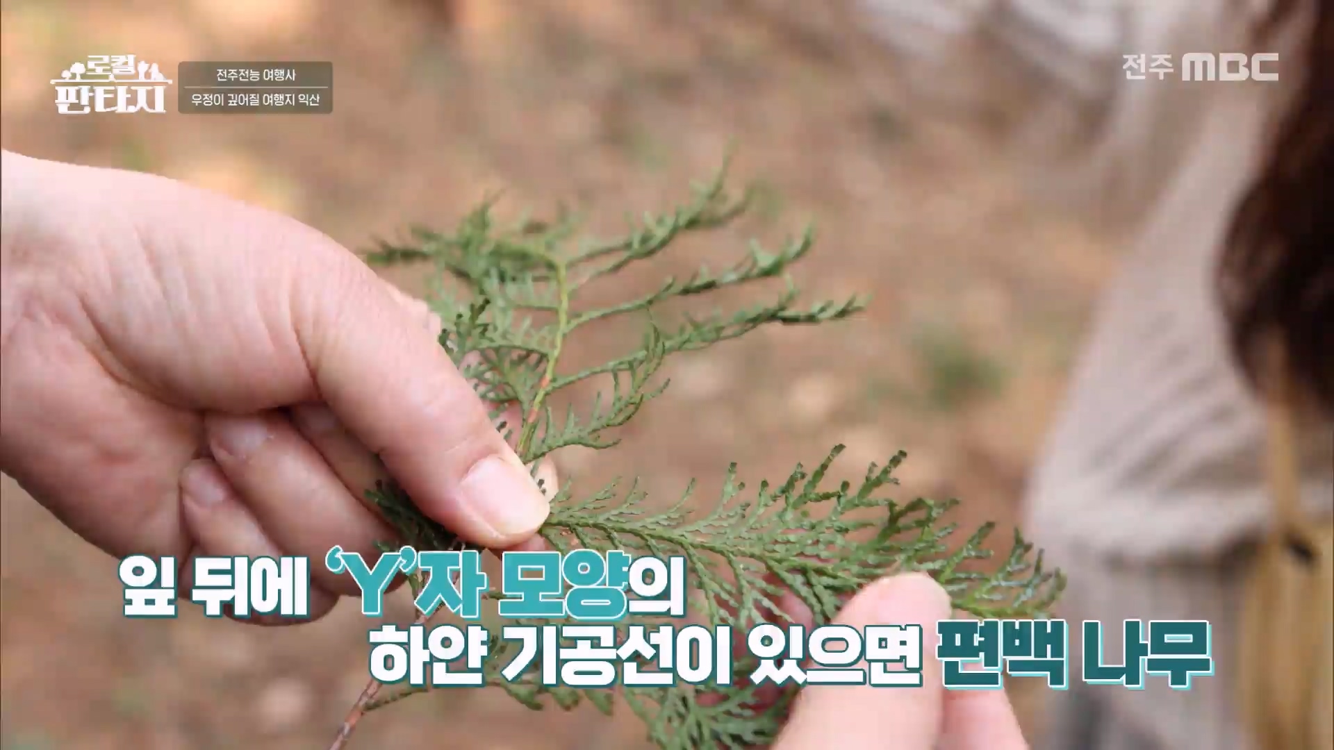 [로컬판타지] 전주MBC 2025년 04월 17일