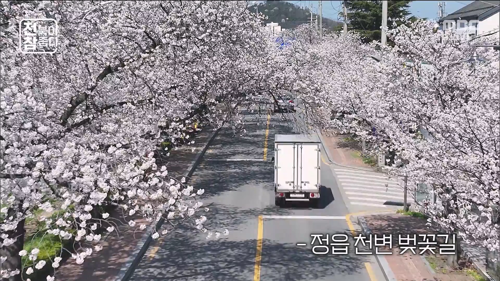 [전북이 참 좋다] 전주MBC 2025년 04월 09일