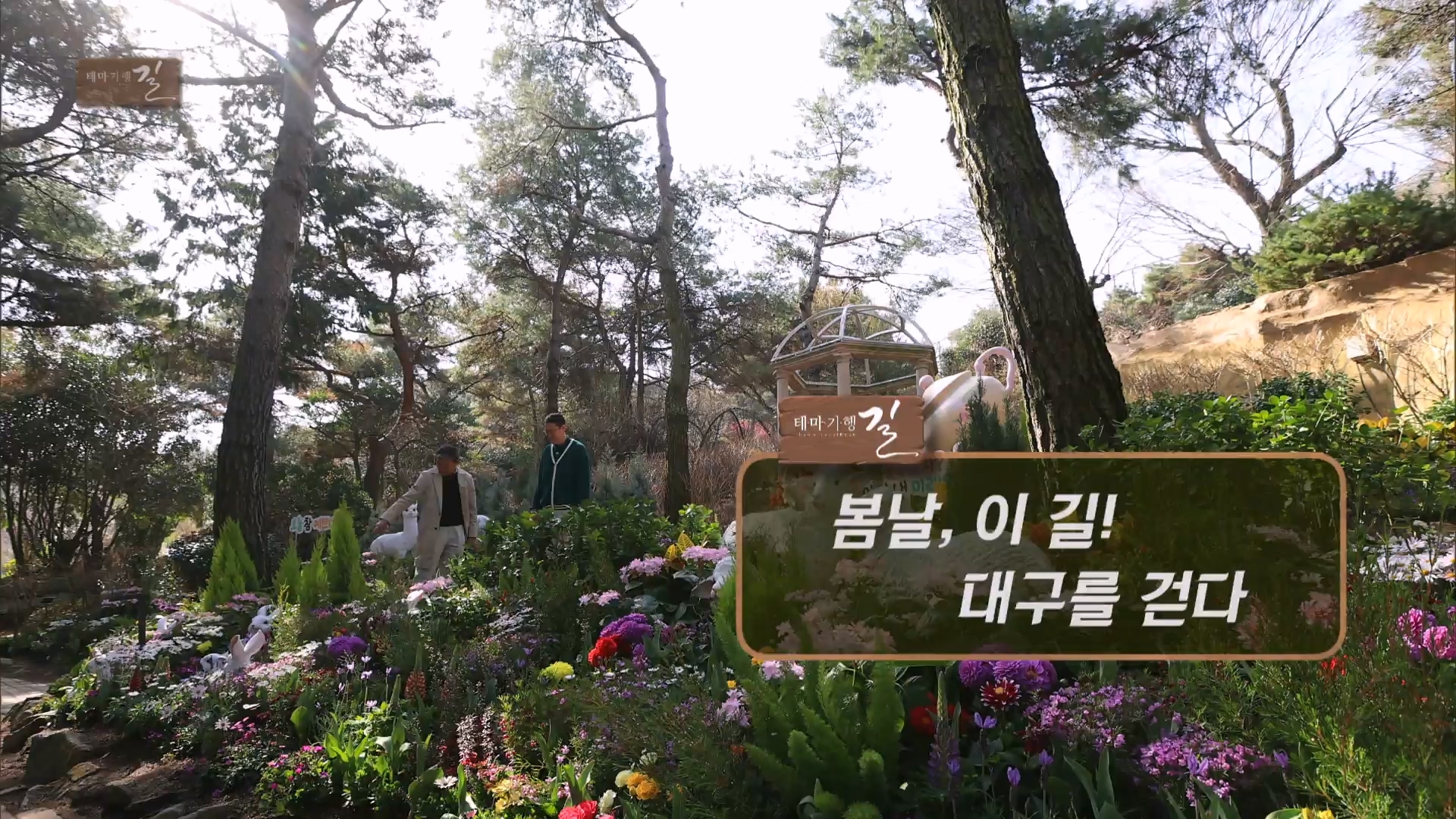 봄날, 이 길! 대구를 걷다
