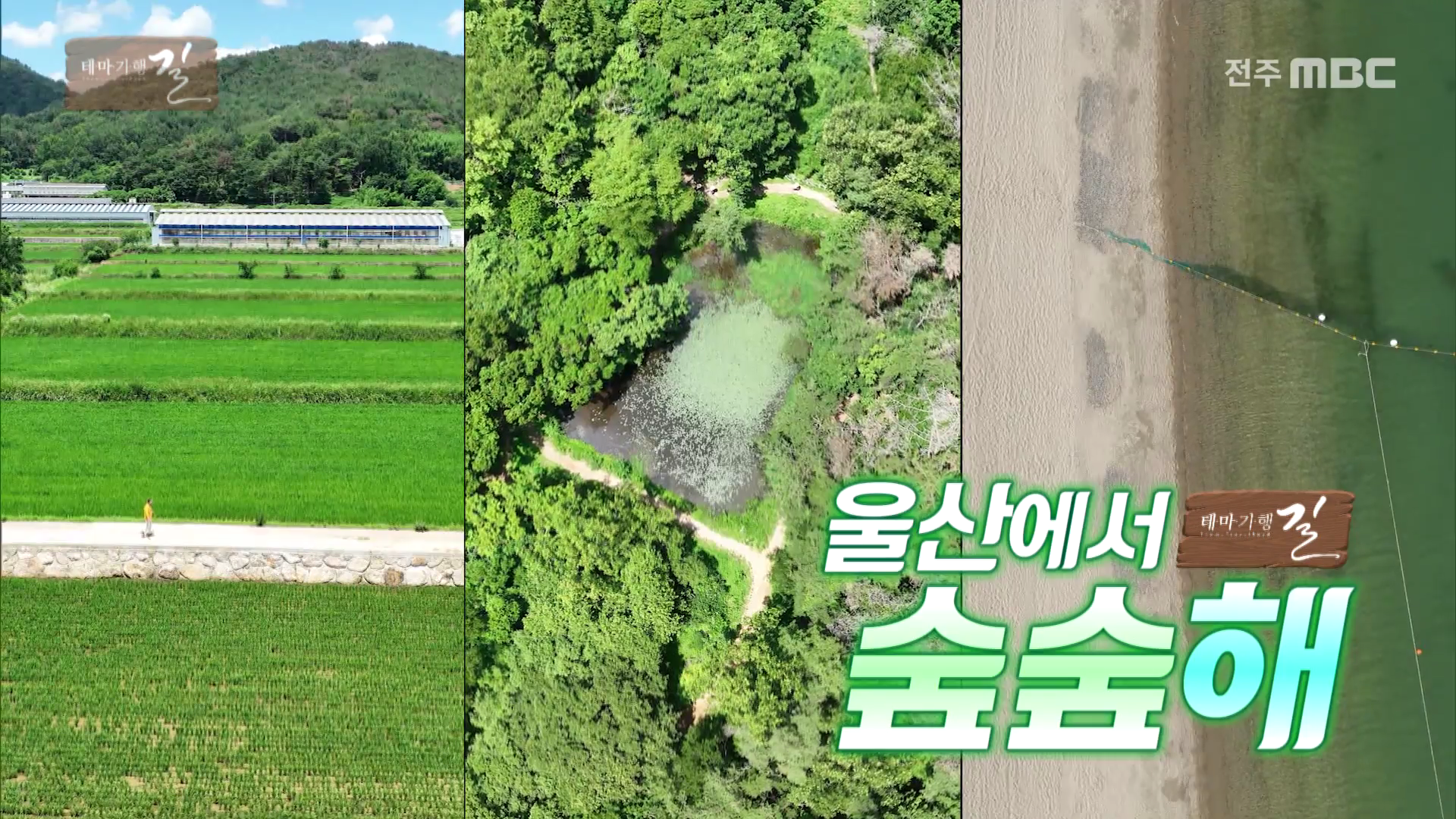 울산에서 숲숲해