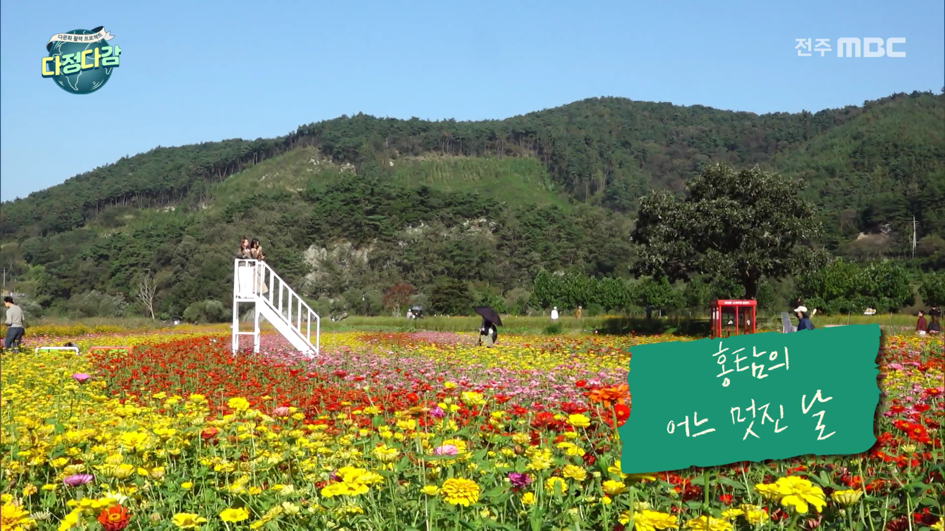 [다정다감] 전주MBC 2025년  11월 02일