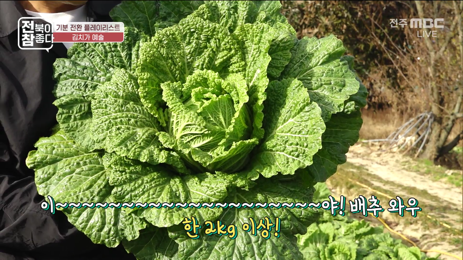 [전북이 참 좋다] 전주MBC 2025년 11월 26일