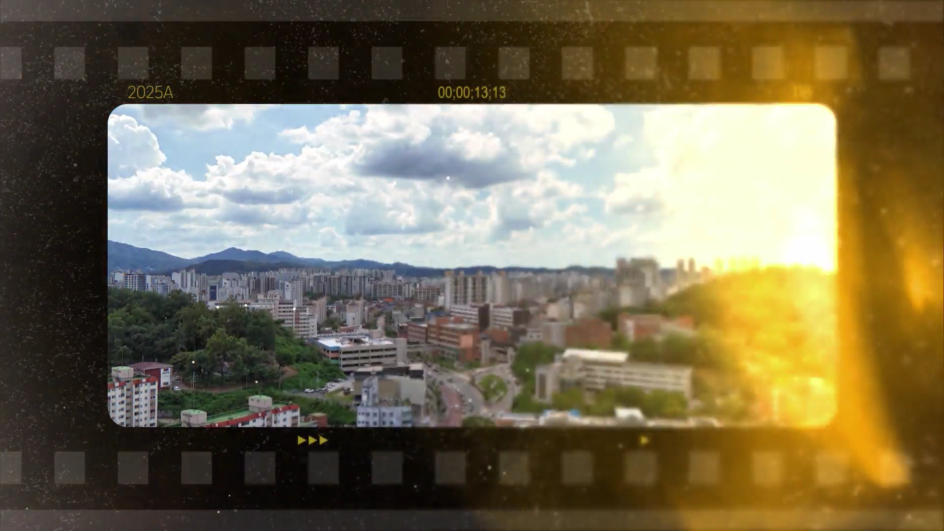 특집 다큐 - 치유의 손길 생명을 잇다