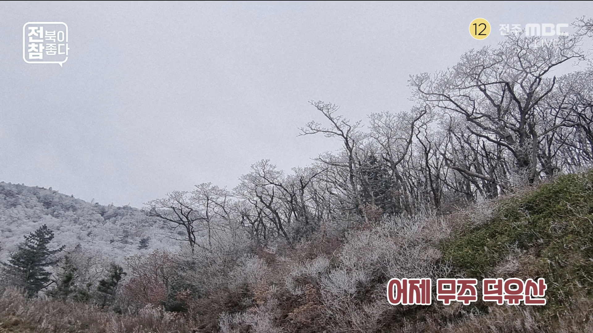 [전북이 참 좋다] 전주MBC 2025년 11월 19일