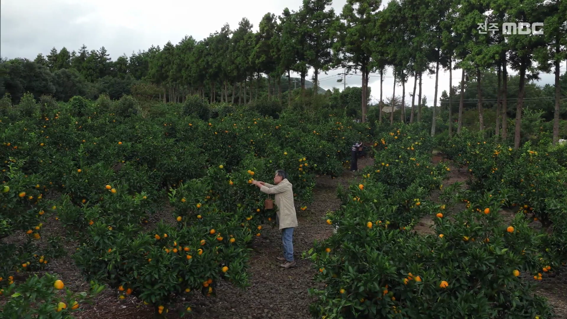 자연과 사람을 잇다 - 제주 팜투어