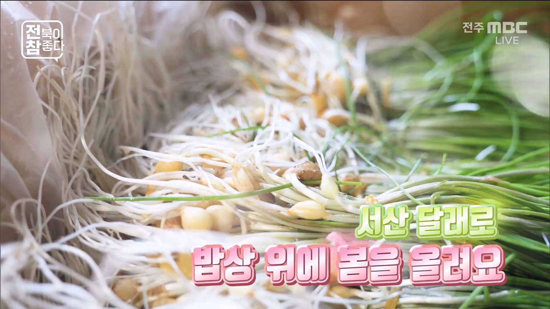 [전북이 참 좋다] 전주MBC 2026년 02월 25일 - 2부