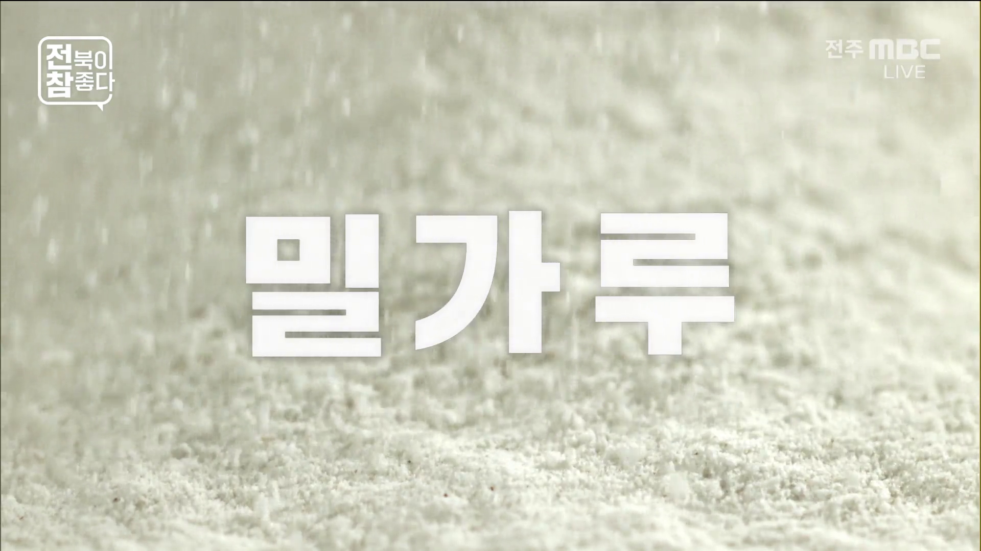 [전북이 참 좋다] 전주MBC 2026년 02월 11일