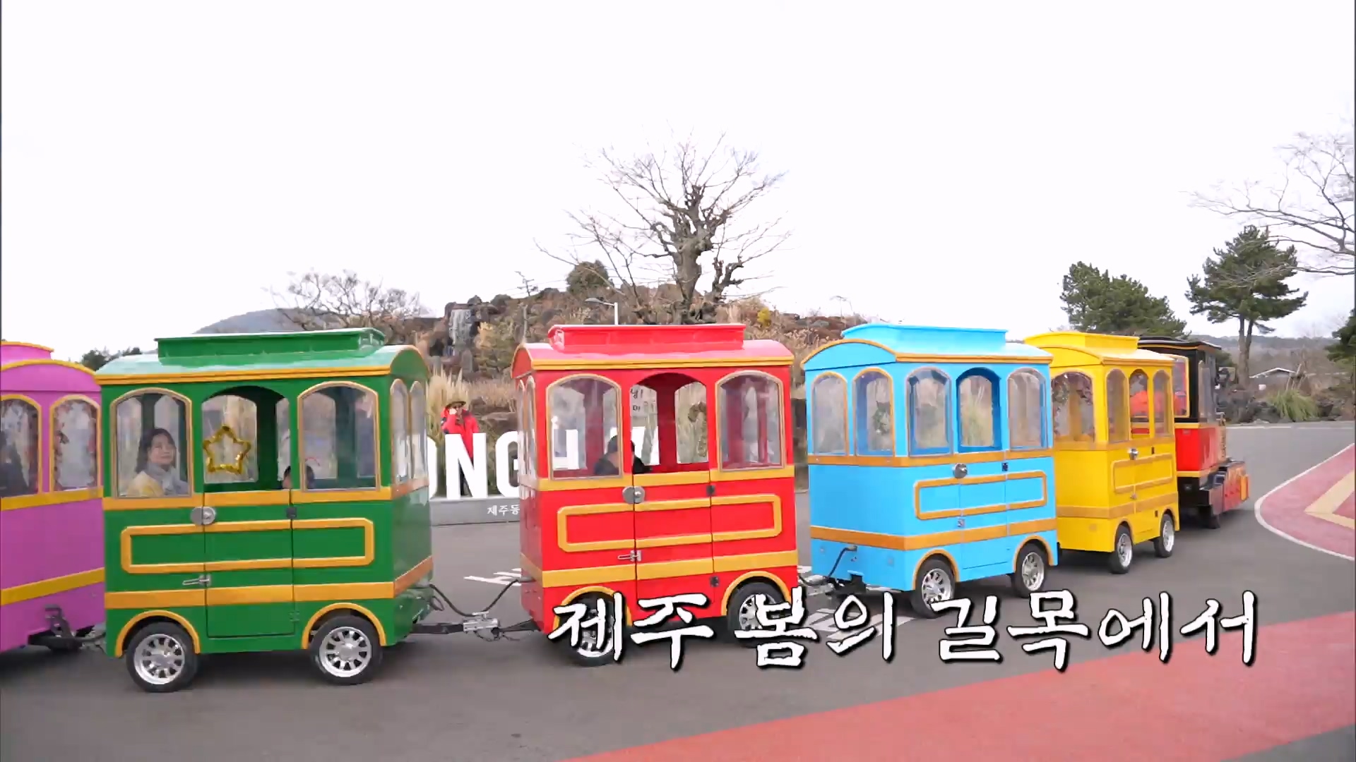 제주 봄의 길목에서