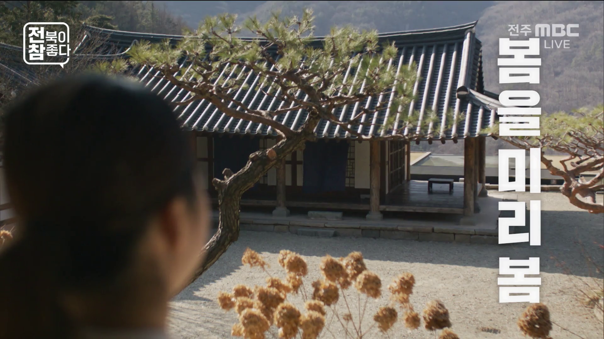 [전북이 참 좋다] 전주MBC 2026년 02월 04일