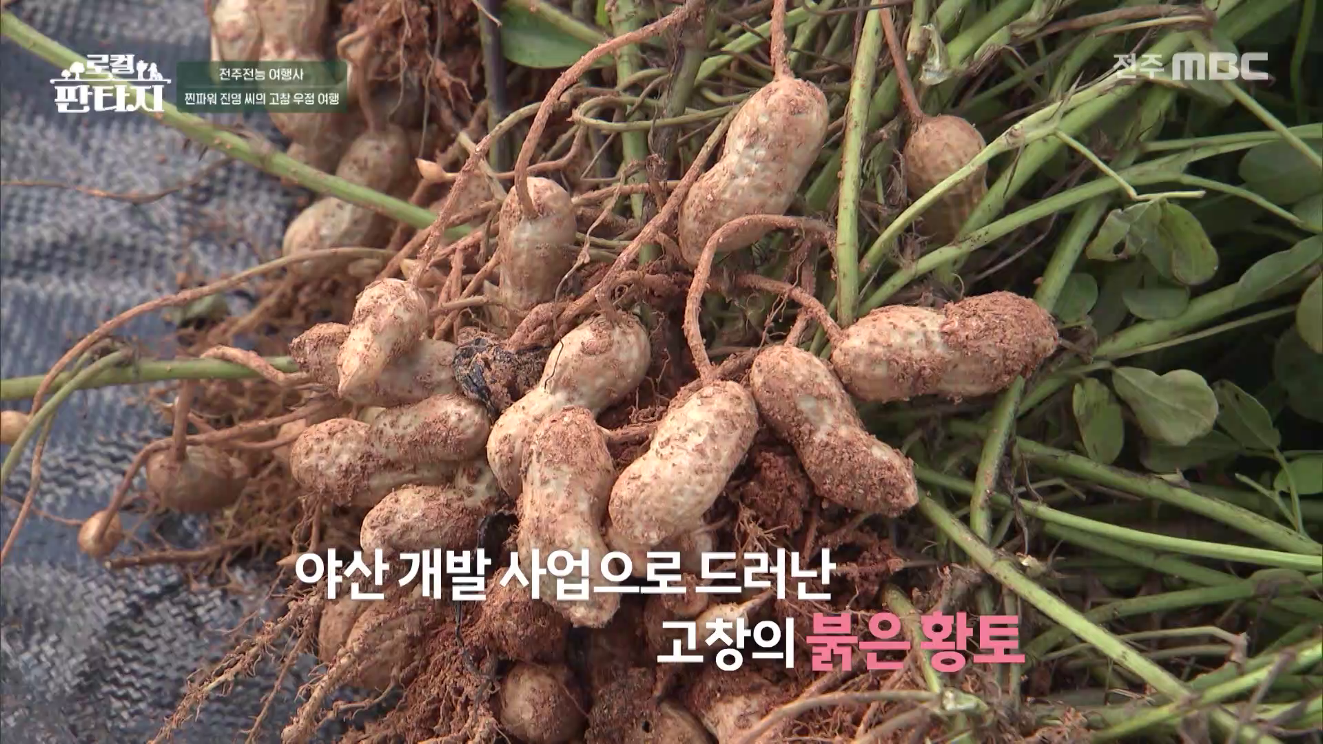 [로컬판타지] 전주MBC 2026년 04월 02일