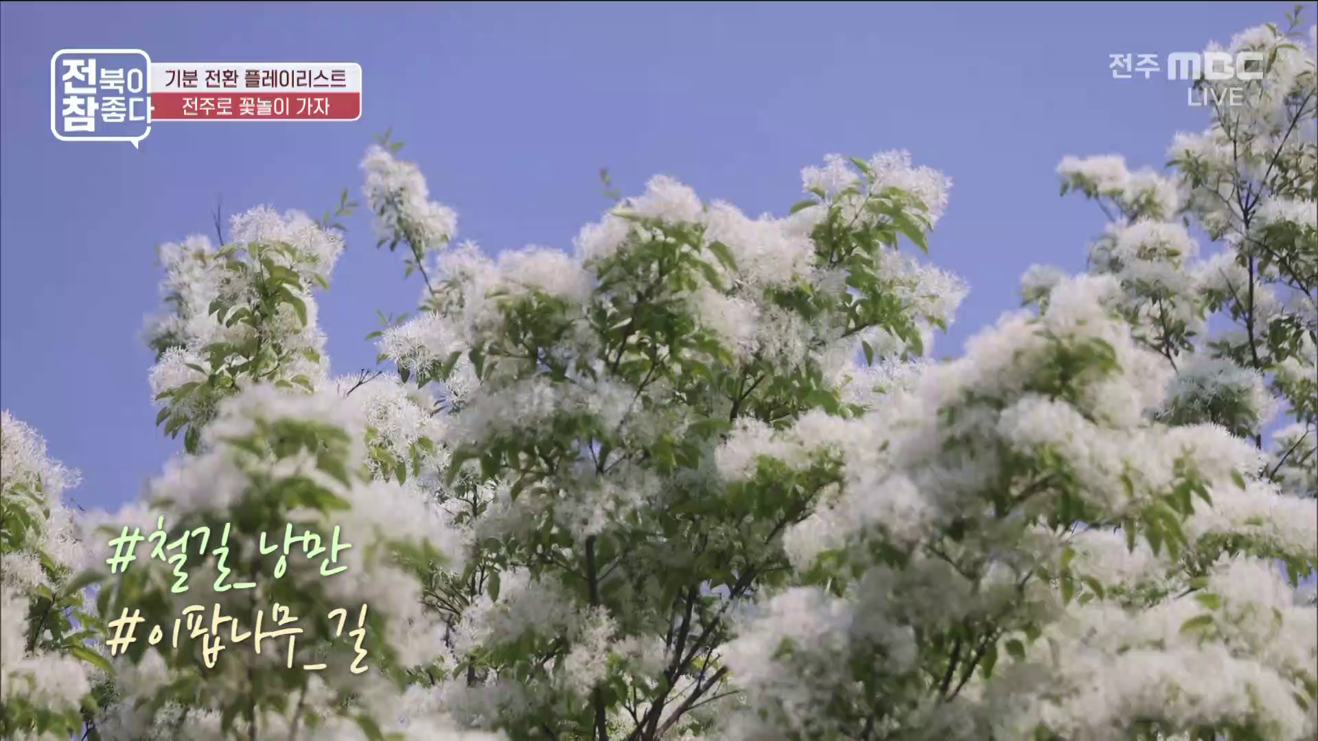 [전북이 참 좋다] 전주MBC 2026년 05월 06일