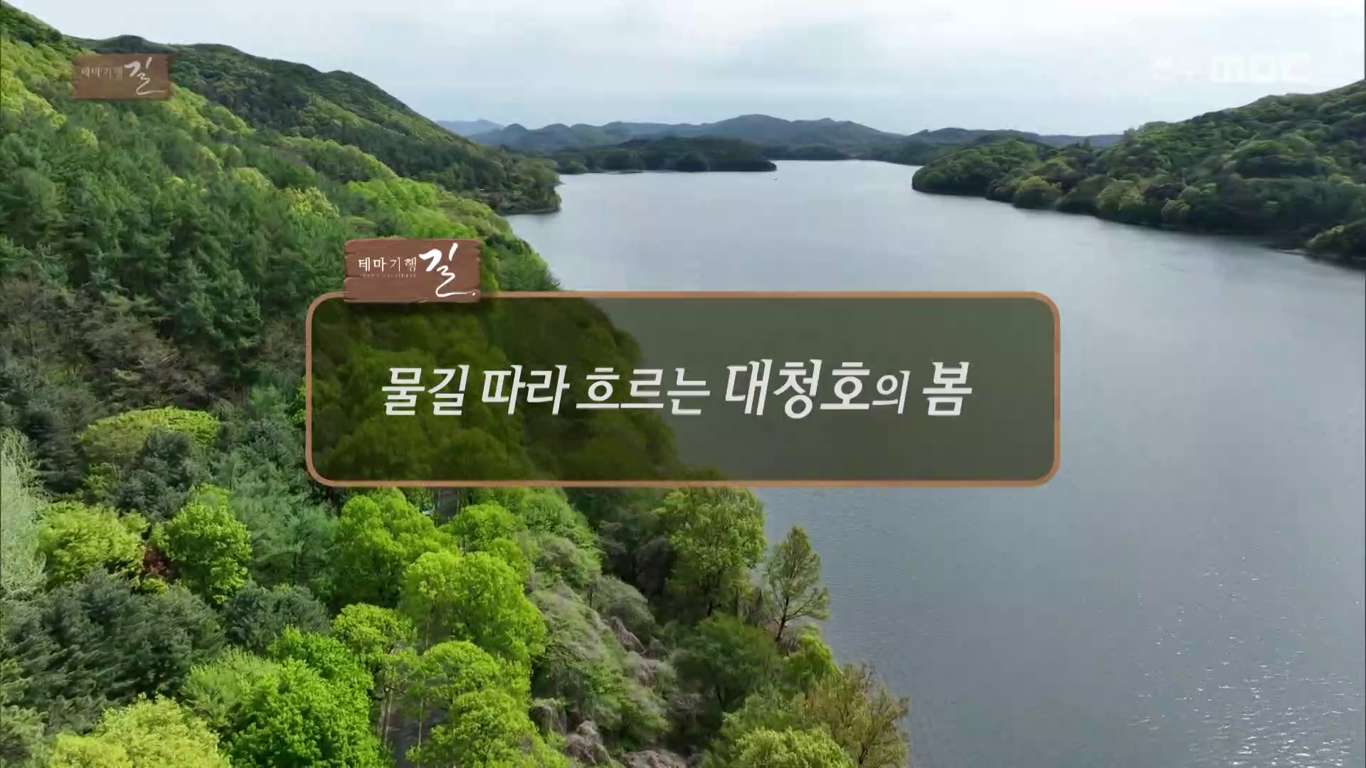 물길 따라 흐르는 대청호의 봄