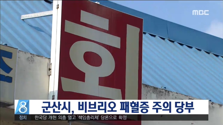 군산 비브리오 패혈증