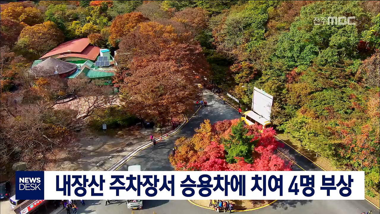 내장산에서 보행자 사고