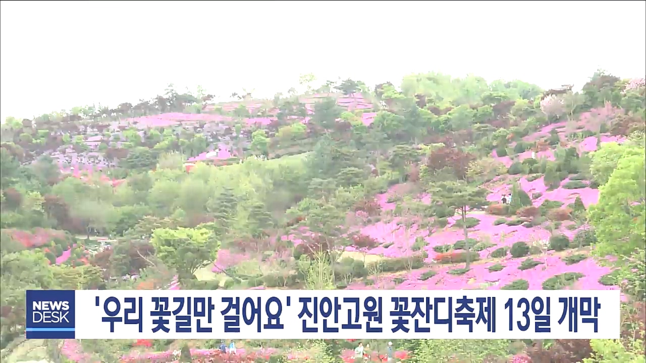 진안고원 꽃잔디축제 13일 개막