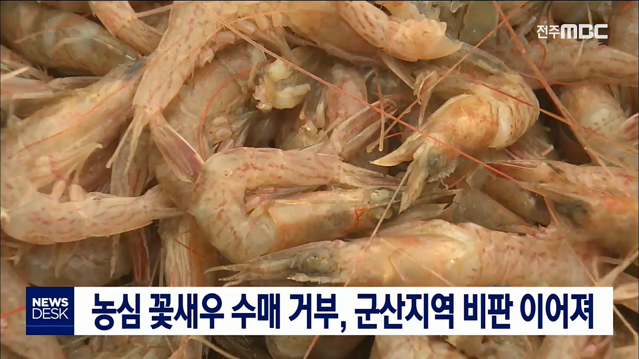 군산 꽃새우 수매 중단 비판