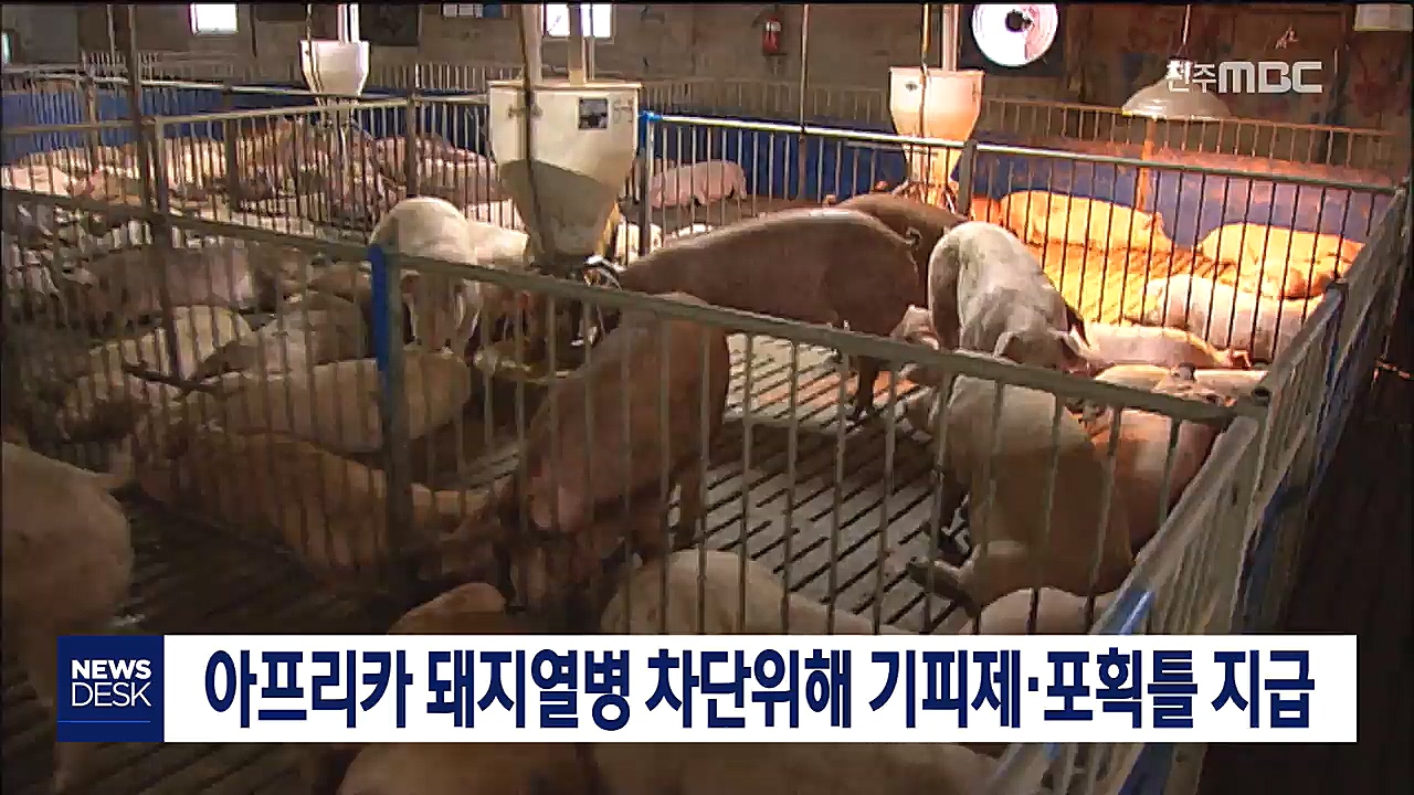 아프리카 돼지열병 방역 강화