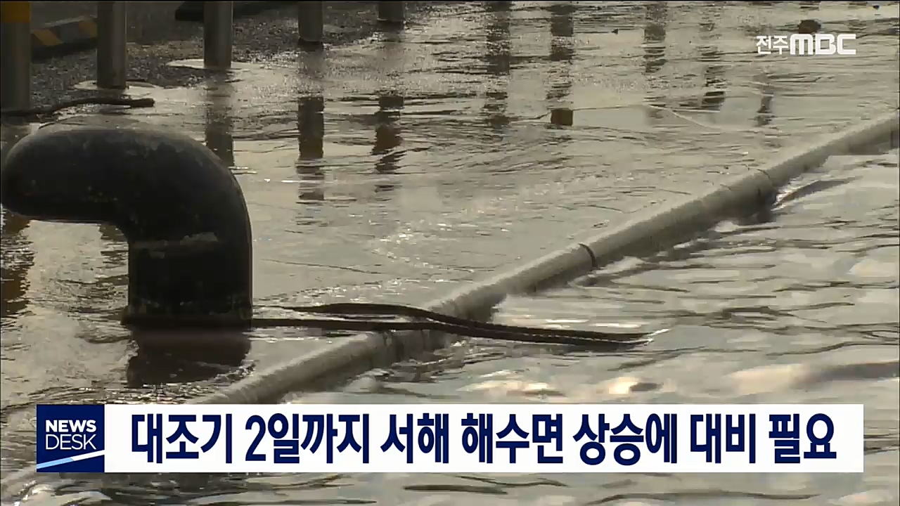 대조기 해수면 상승 대비