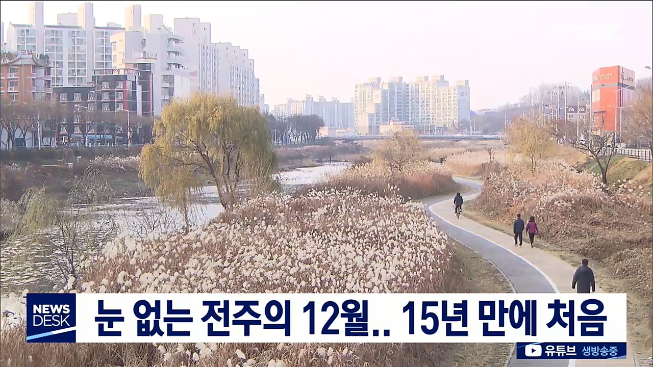 15년 만에 전주 눈 없는 12월