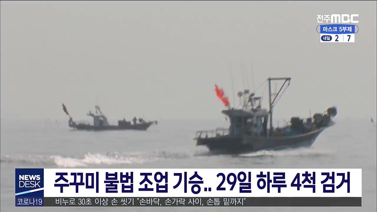 주꾸미 불법 조업 기승..29일 하루 4척 검거