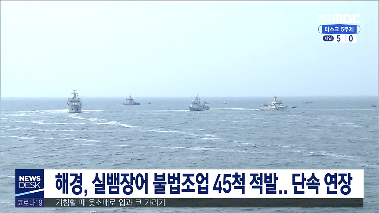 실뱀장어 불법조업 45척 적발