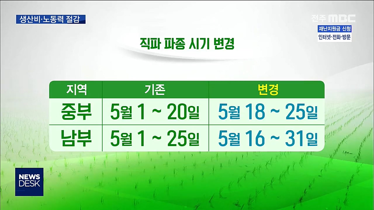 드론 직파 재배