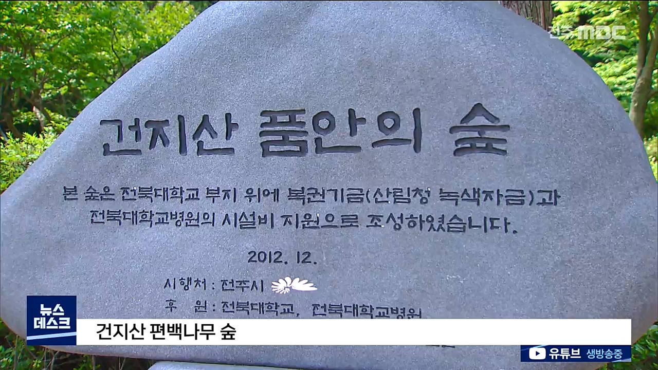 편백나무 숲 가르는 인공 산책로, 찬반 논란
