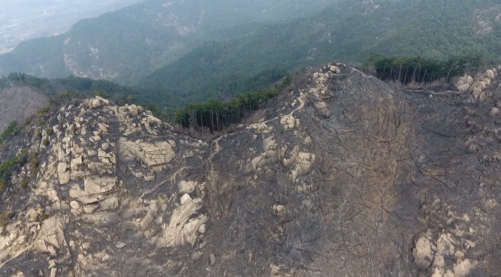 도내 봄철 산불로 10년 간 축구장 63개 불타