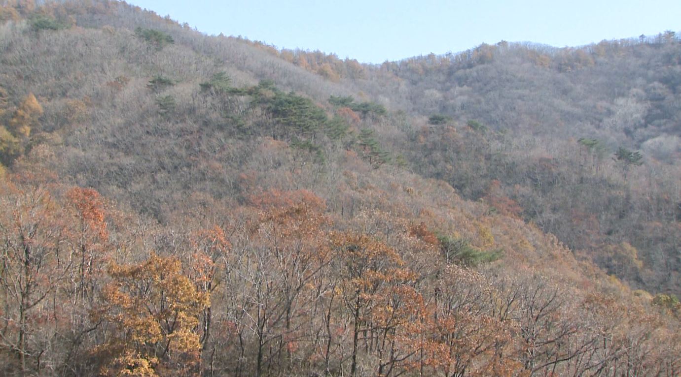 건조한 날씨 속 올 강수량 지난해 16%..산불 감시 강화