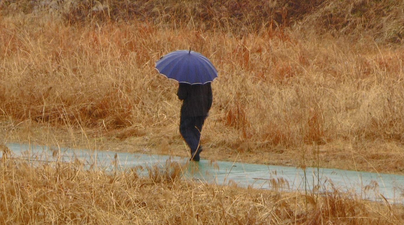 전북 지역 낮 기온 14~18도 분포.. 밤부터 5mm '비'