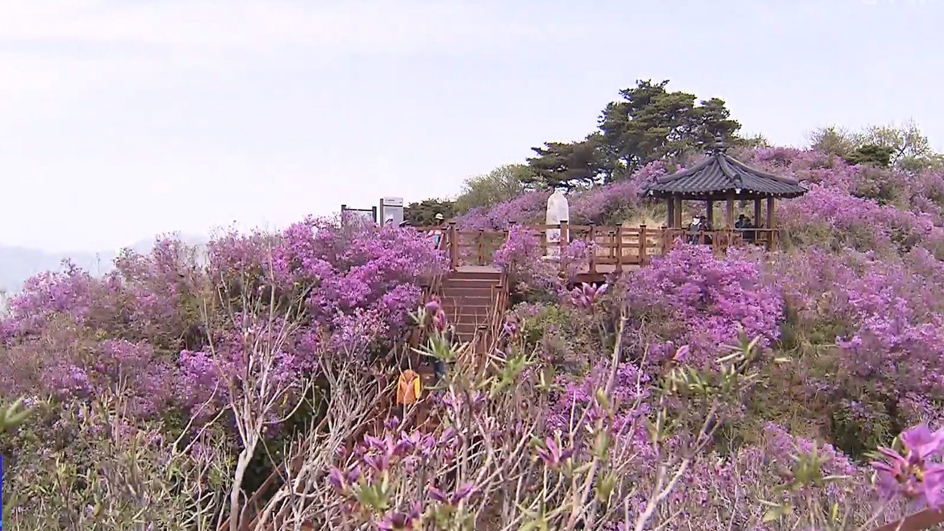 지역소식 (김제·익산·남원·임실 편)