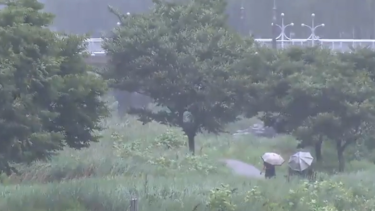 부안 24.9mm 최고..오후까지 5-20mm 더 내린 뒤 그쳐