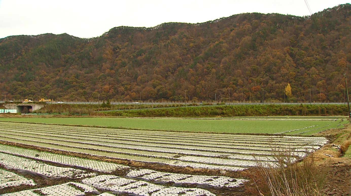 도내 취업자 '농업 분야' 최다, 17.5% 차지