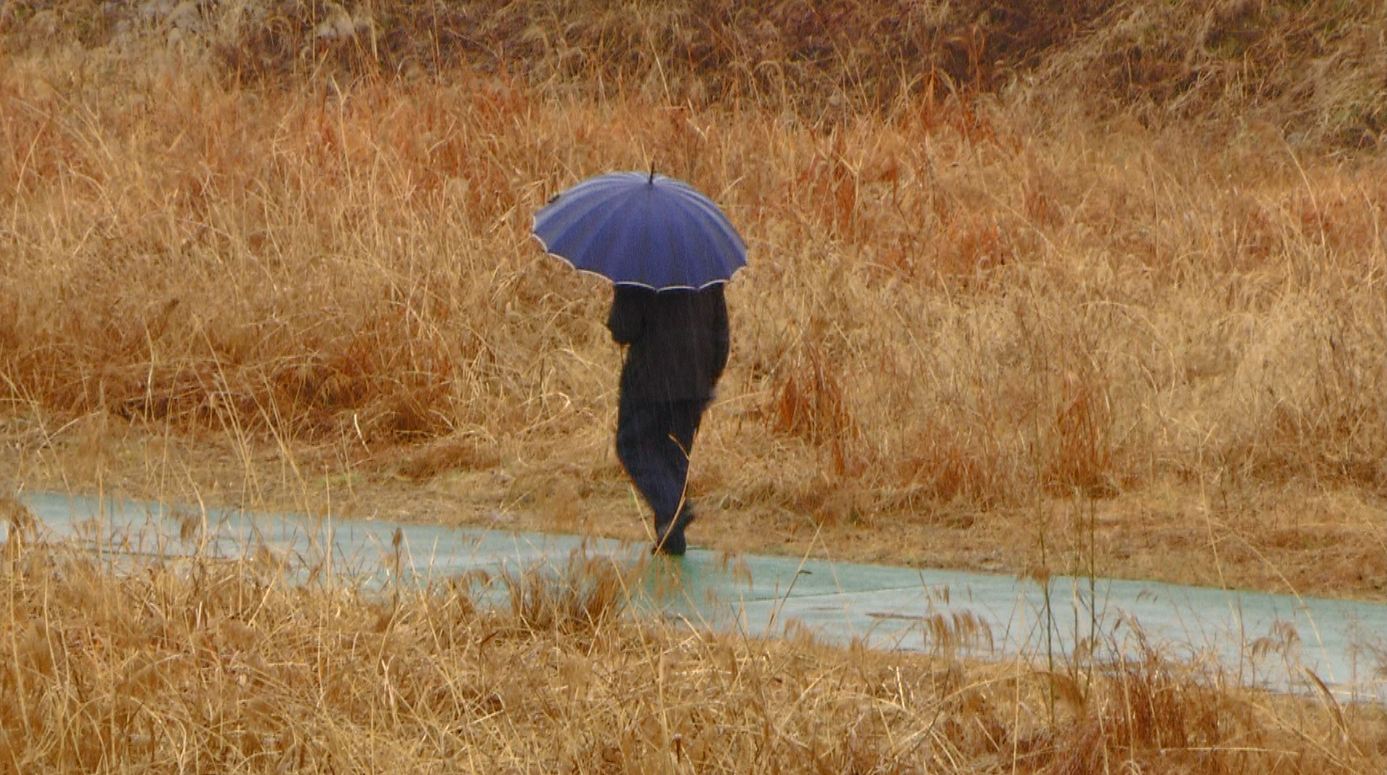 일부 시군 호우특보.. 